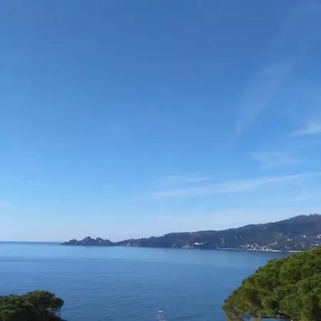Appartamento Vicino Al Mare - Near The Sea Zoagli