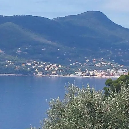 Vicino Al Mare - Near The Sea