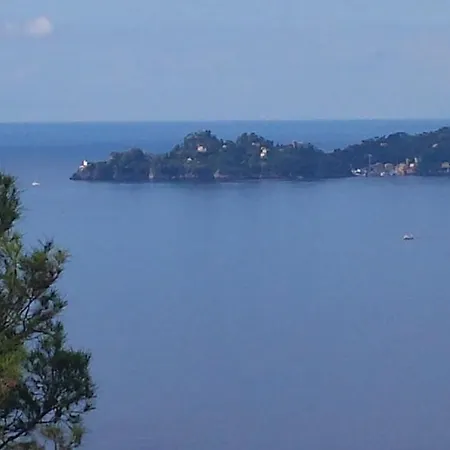 Vicino Al Mare - Near The Sea