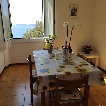 Vicino Al Mare - Near The Sea