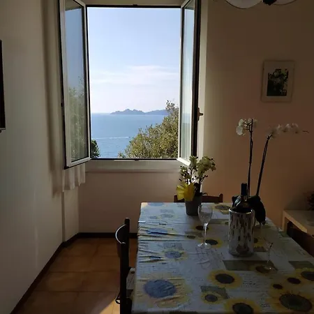 Vicino Al Mare - Near The Sea * Zoagli