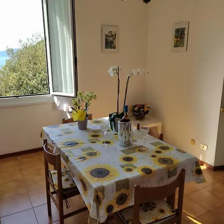 Vicino Al Mare - Near The Sea Zoagli